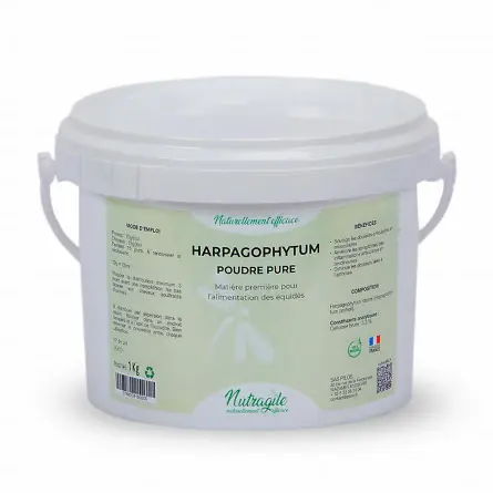 Harpagophytum Anti-douleur & Anti-inflammatoire Articulations | Nutragile Meilleure Vente