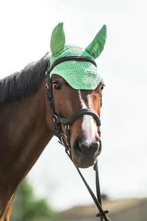 Bonnet Wow Store RILEY – Summer Green (vert d'été) Promotion