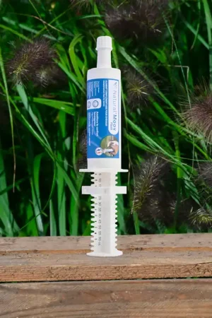 Usine Directe Natural’Moov FLASH Natural Innov – Complément Articulaire en Pâte pour Chevaux