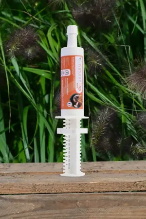 Remise Natural’Top FLASH Natural Innov – Complément Énergie et Récupération en Pâte pour Chevaux