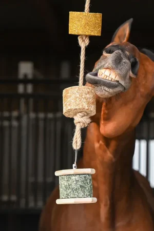 Natural’Rock Natural Innov – Pierre à Lécher Bio et Naturelle pour Chevaux Dernier Modèle