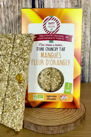 Commande En Gros Tabs' Mangues Fleur d'Oranger – Pack de 2 – Happy Crackers – Tablettes Bio Gourmandes et Saines