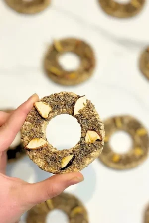 Nouvelle Collection Donutbio-Respiration Pomme et Thym Bio – Friandises Naturelles pour Chevaux aux Voies Respiratoires Sensibles | EquiNatBio