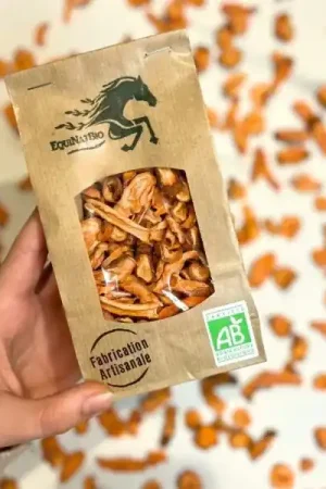 Croustillants de Carotte Bio pour Chevaux – Friandises Naturelles Saines | EquiNatBio Promotion Saisonnière