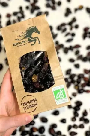Dernier Modèle Croustillants de Cynorrhodon Bio – Friandises Naturelles pour Chevaux | EquiNatBio