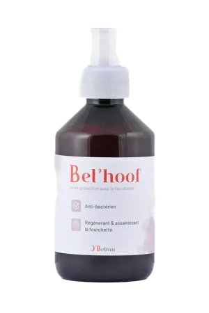 Dernier Modèle Bel’Hoof O’BELTAN – Soin Naturel Fourchettes Pourries Chevaux | Sabots Sains