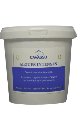 Meilleur Prix Algues Intenses Cavasso – Soin Reminéralisant Cheval Muscles & Articulations