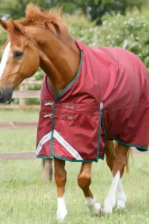 Achat Immédiat Couverture Titan Original 100g Premier Equine – Robuste, Imperméable et Respirante