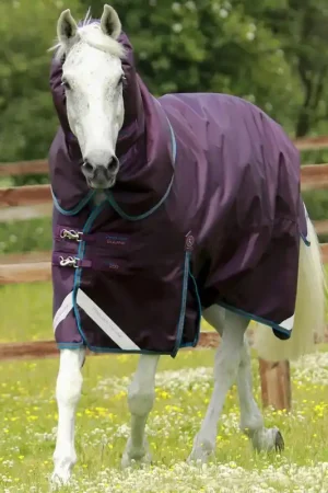 Expédié Aujourd'hui Couverture Titan 200g Premier Equine avec Couvre Cou - Imperméable & Respirante
