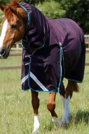 Couverture Buster Storm 100g Imperméable Nylon Balistique 840D avec Couvre-Cou | Premier Equine Prix Cassé