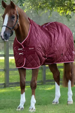 Couverture d’Écurie Tuscan 100g en Polyester Ripstop 420D Respirant | Premier Equine Commander Maintenant