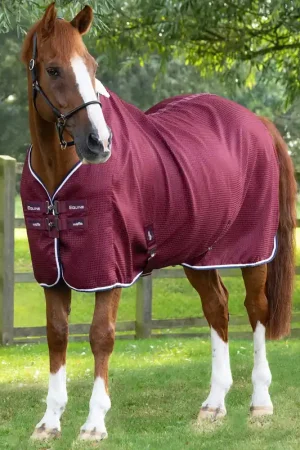 Achetez Aujourd'hui Couverture Séchante Premier Equine Buster Waffle – Refroidissement Rapide et Confort Optimal pour Chevaux
