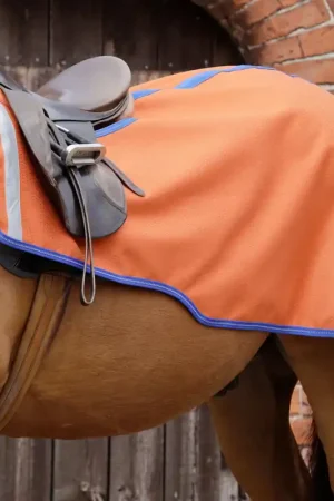 Couvre-Reins Stratus Reflective Premier Equine – Imperméable et Haute Visibilité Nouvelle Collection