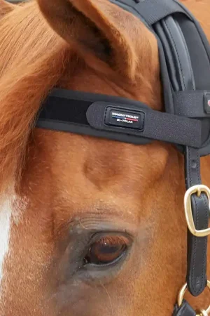 Frontal Magnétique Premier Equine Magni-Teque – Réduction du Stress et Bien-Être Équin Bon Plan