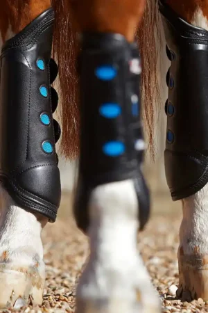 Guêtres Postérieures Air Cooled Premier Equine – Protection et Ventilation Haute Performance Prix Cassé