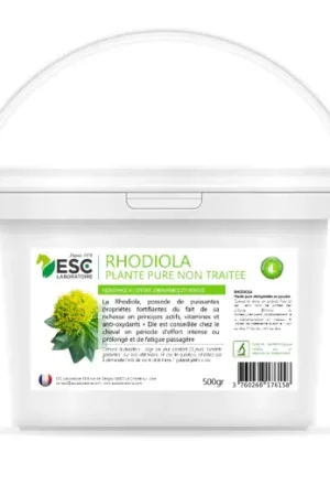 Rhodiola 100% Pur Cheval – Résistance Fatigue & Endurance - ESC Prix Choc