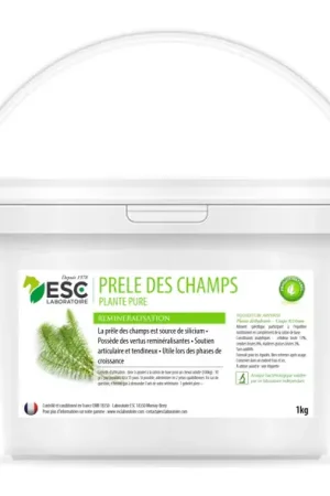 Prêle des Champs Cheval – Articulations & Reminéralisation - ESC Expédié Aujourd'hui