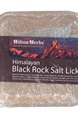 Bon Marché Pierre à sel noire – Minéraux pour digestion & peau saine - Hilton Herbs