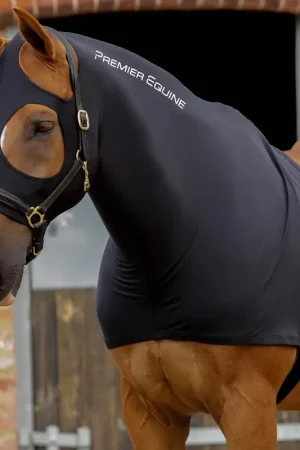 Retour Gratuit Cagoule en Lycra extensible – Protection robe & crinière cheval - Premier Equine