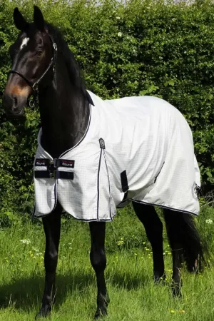 Prix Bas Chemise d’écurie coton – Confort & Qualité | Cotone Originale - Premier Equine