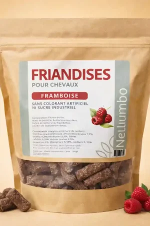 Prix Réduit Friandises à la framboise pour chevaux - Nellumbo