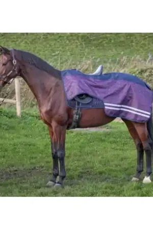 Super Prix Harry's Horse couvre reins Impermeable 0 gr