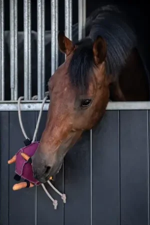 Achetez Aujourd'hui QHP Jouets pour chevaux Ball