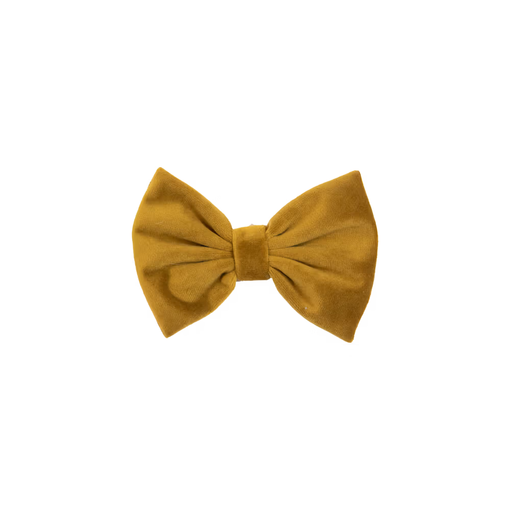 Noeud Papillon Velvet Affaire À Saisir