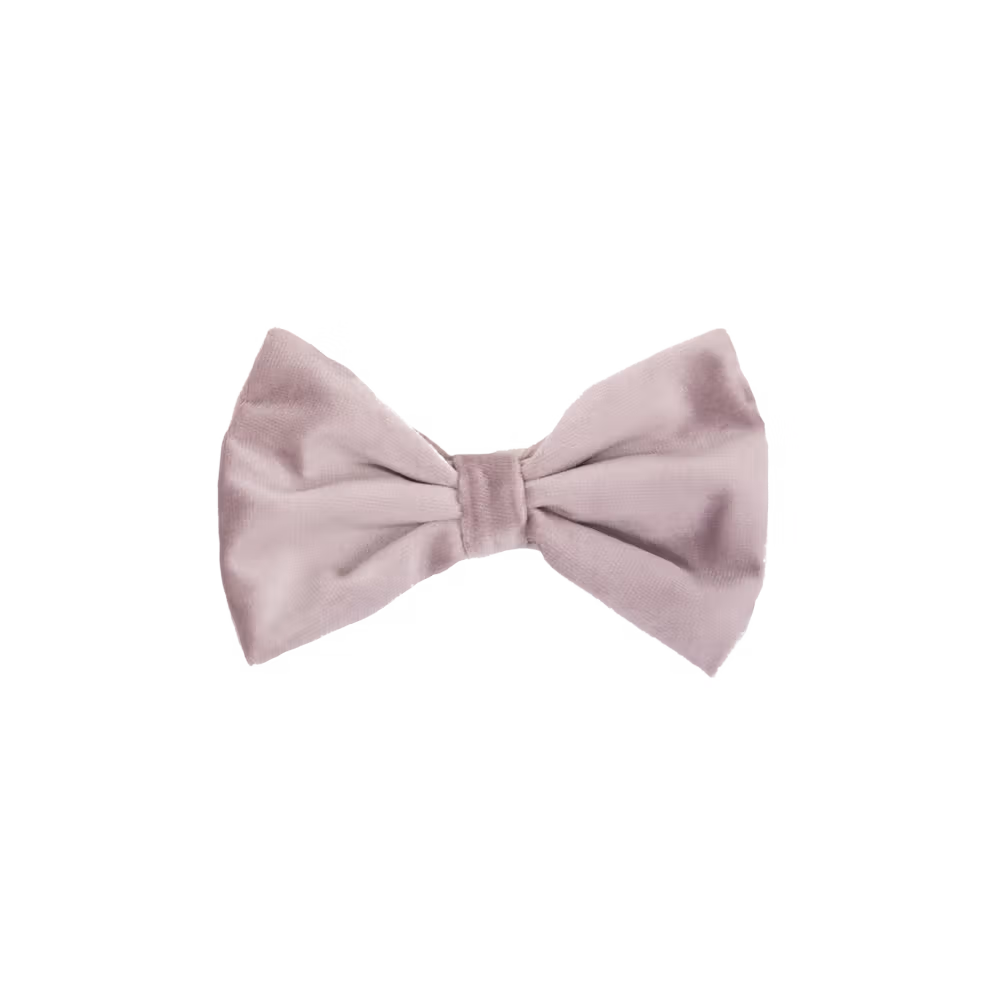 Noeud Papillon Velvet Commander Maintenant