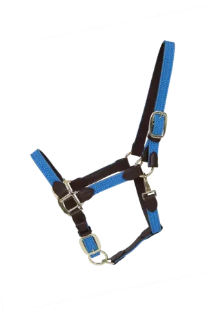 Dernier Modèle Licol Plaited Nylon