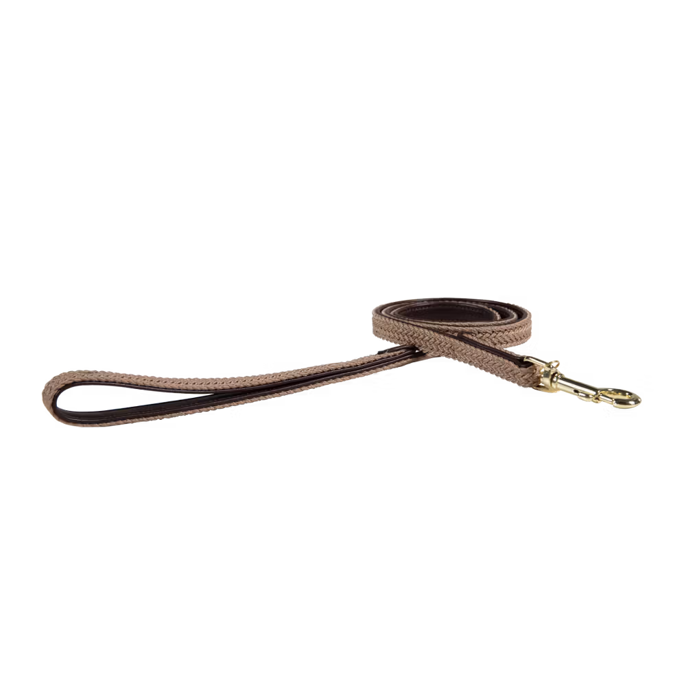 Bon Marché Laisse pour chien Plaited Nylon 120 cm