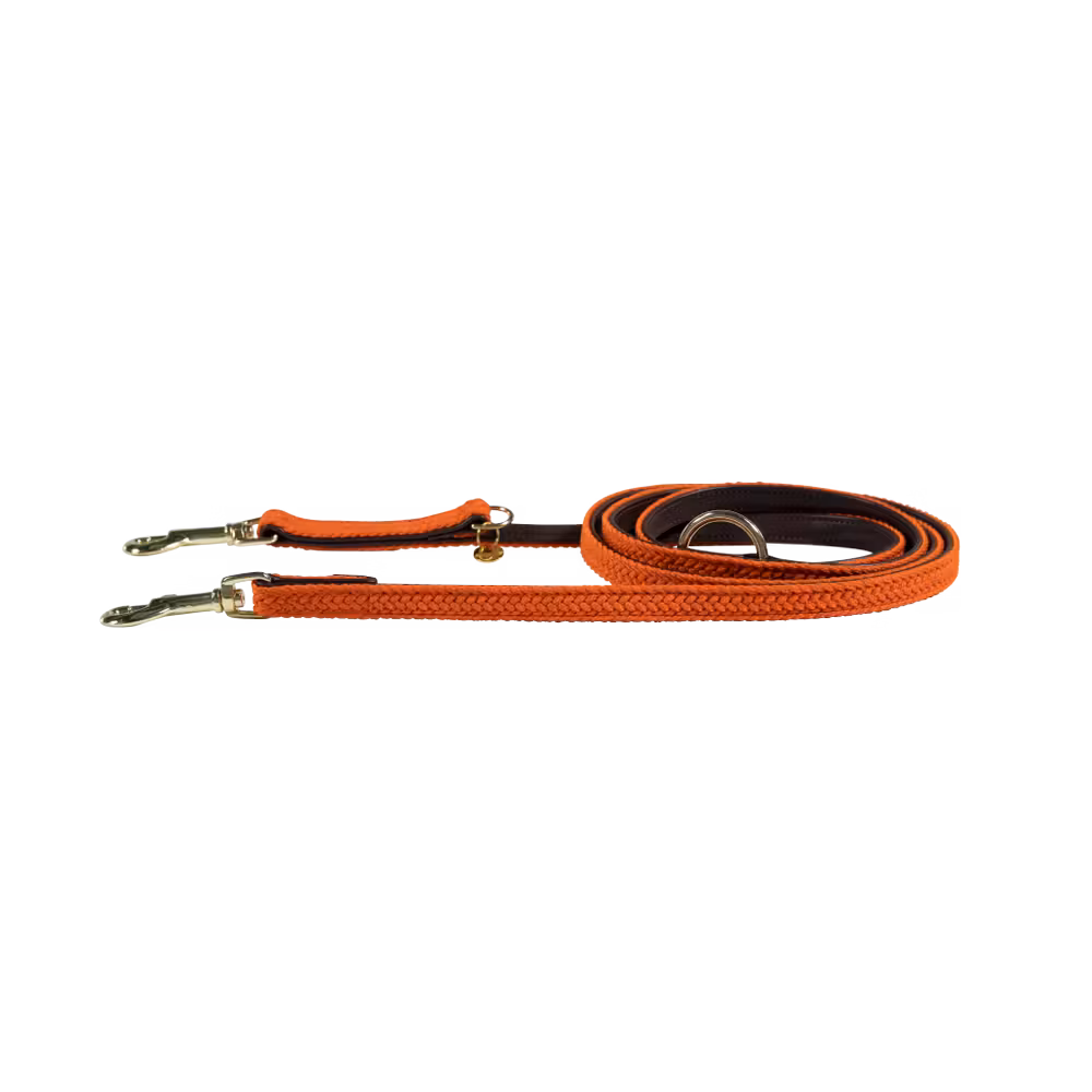 Laisse pour chien Plaited Nylon 200 cm Offre Exclusive