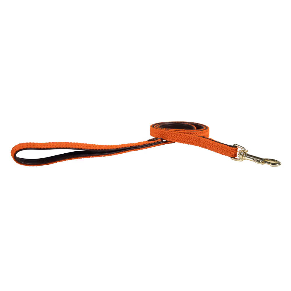 Laisse pour chien Plaited Nylon 120 cm Vente Directe