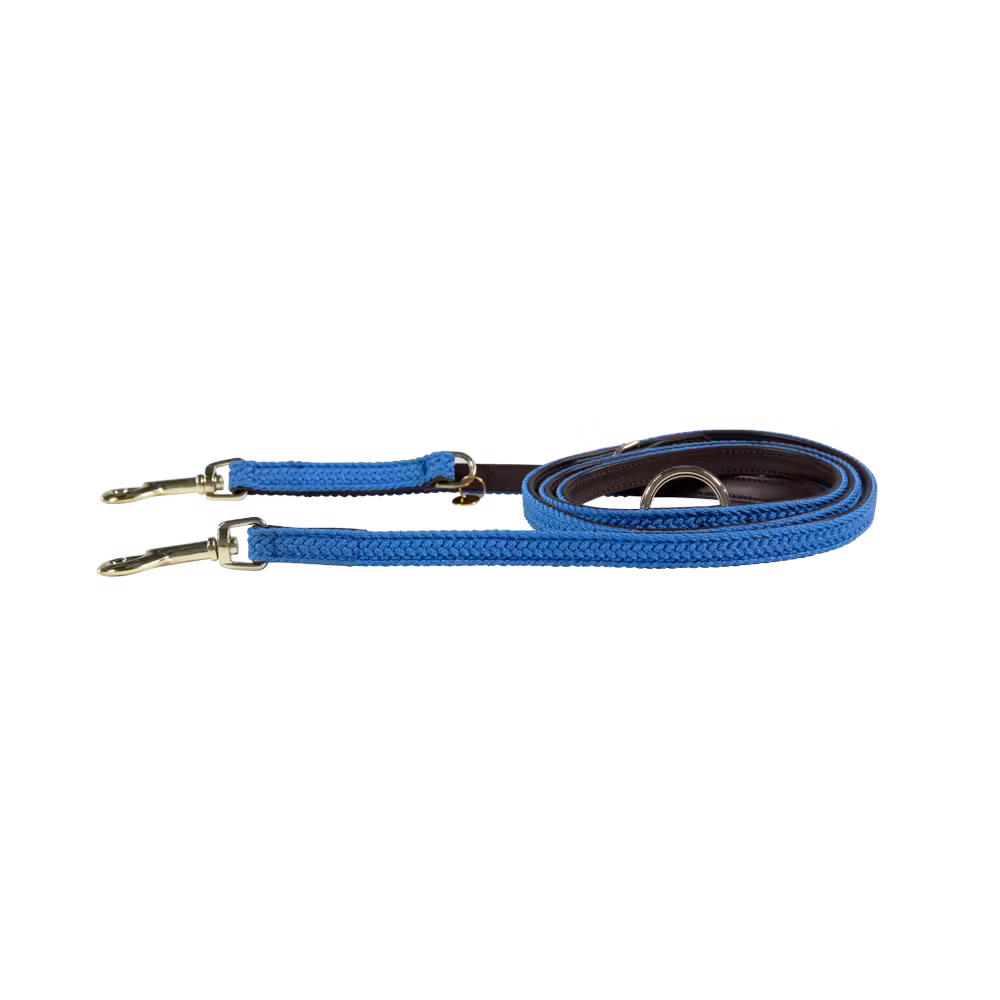 Acheter En Ligne Laisse pour chien Plaited Nylon 200 cm