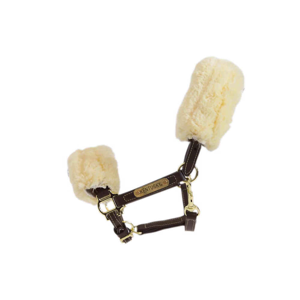 Licol mouton en cuir Nouvelle Collection