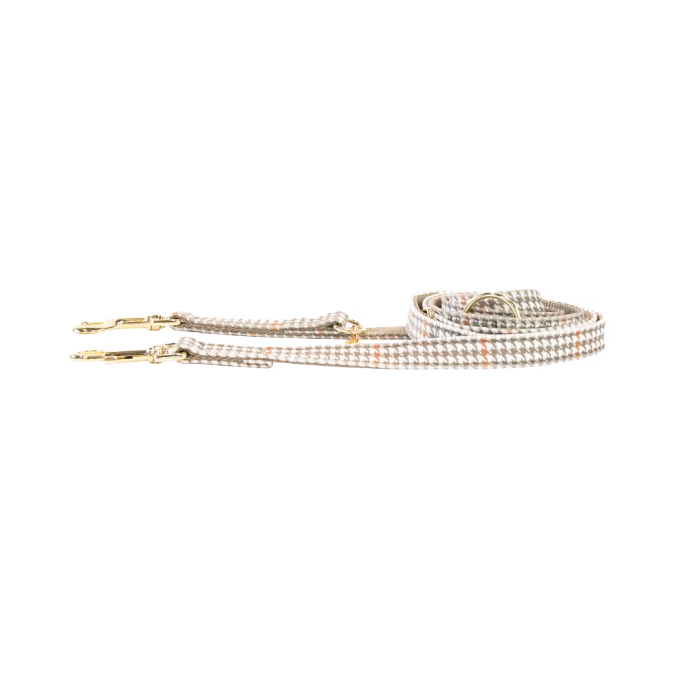 Laisse pour chien Pied-de-poule Acheter Direct