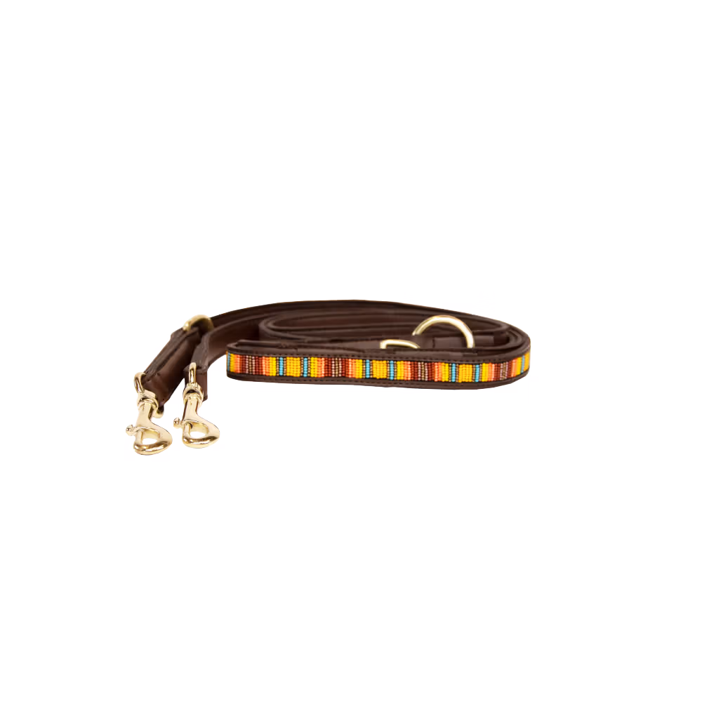 Laisse pour chien en Perles faites-main Prix Choc