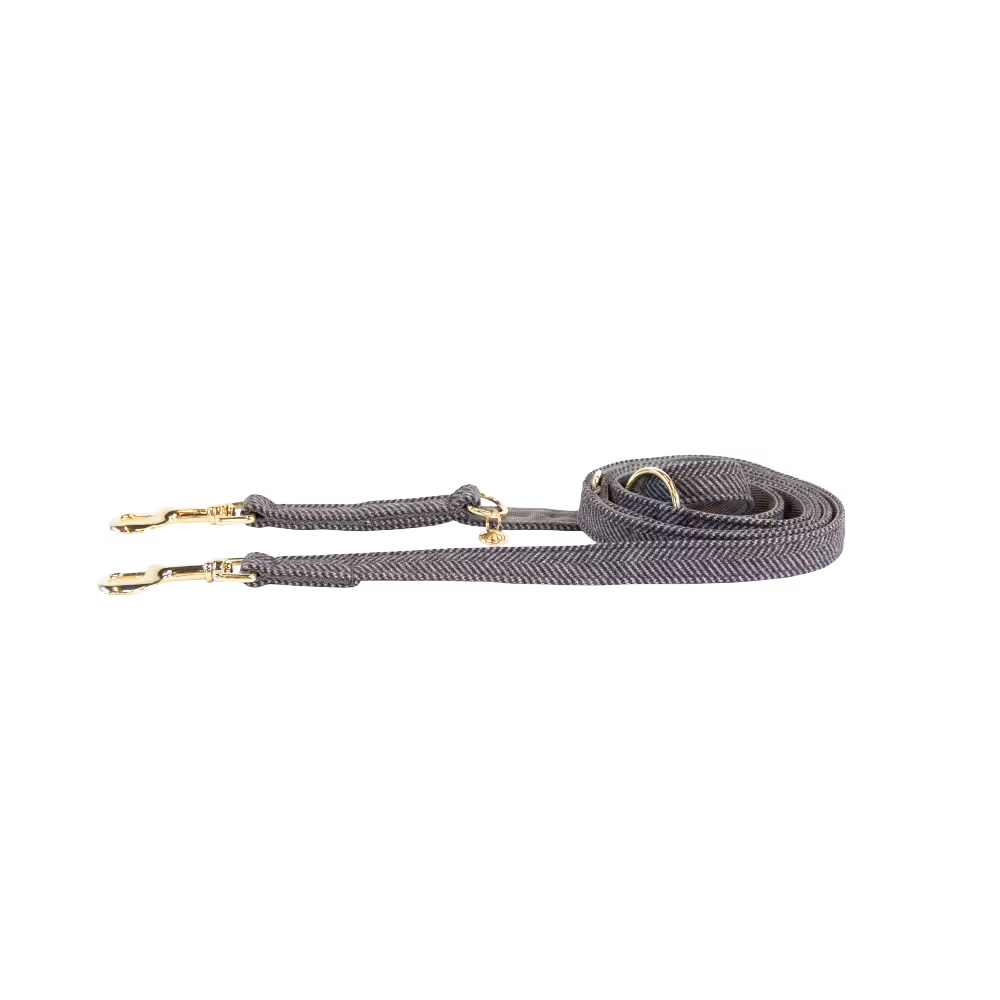 Laisse pour chien Wool Longue Usine Directe