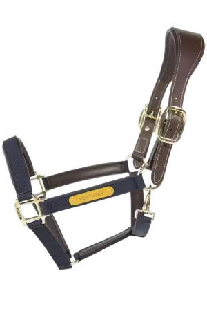 Licol Anatomique Nylon Promotion