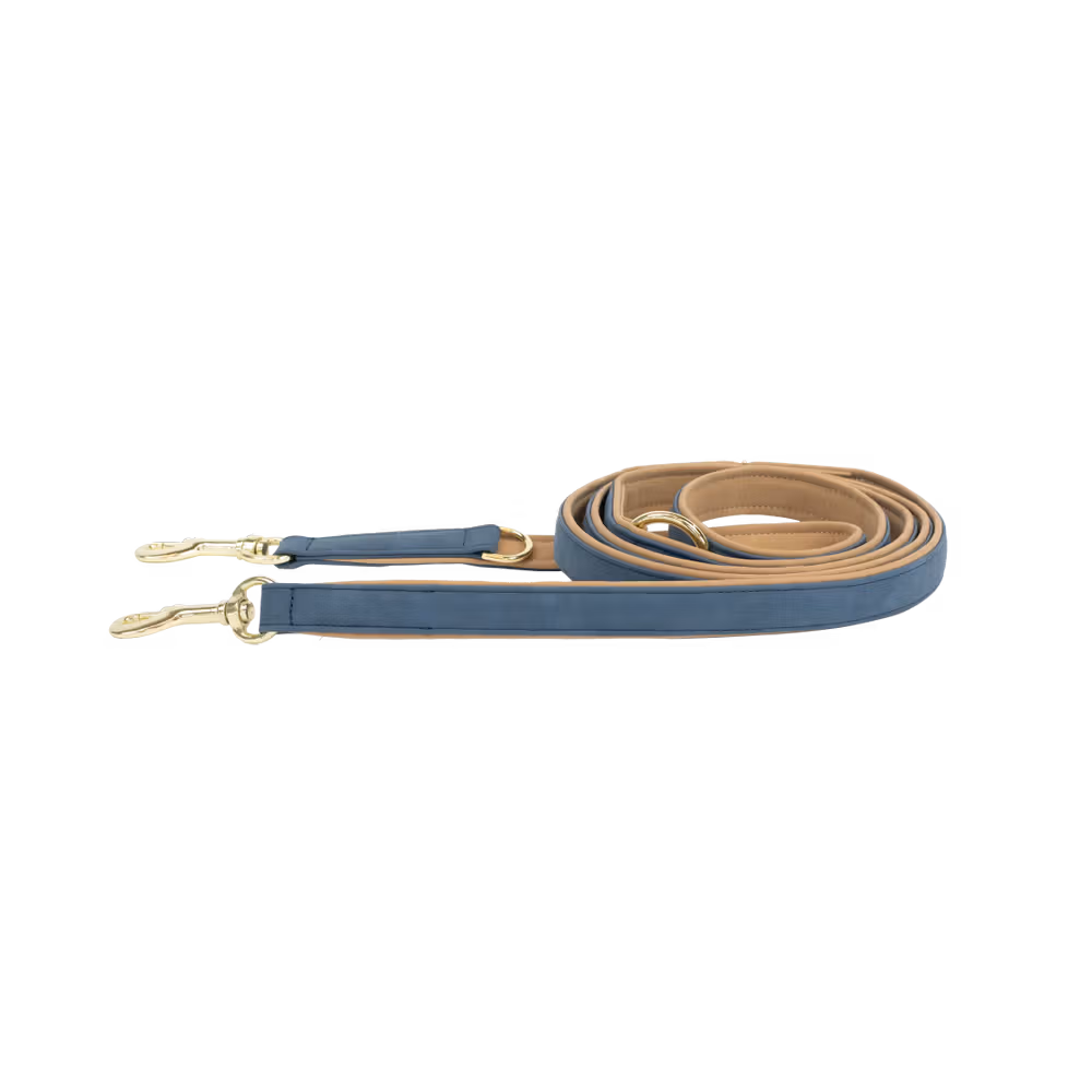 Laisse pour chien Vegan Leather Super Prix