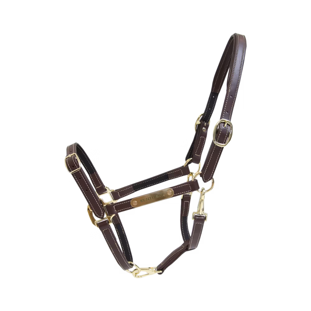 Licol Flexible Achat Immédiat