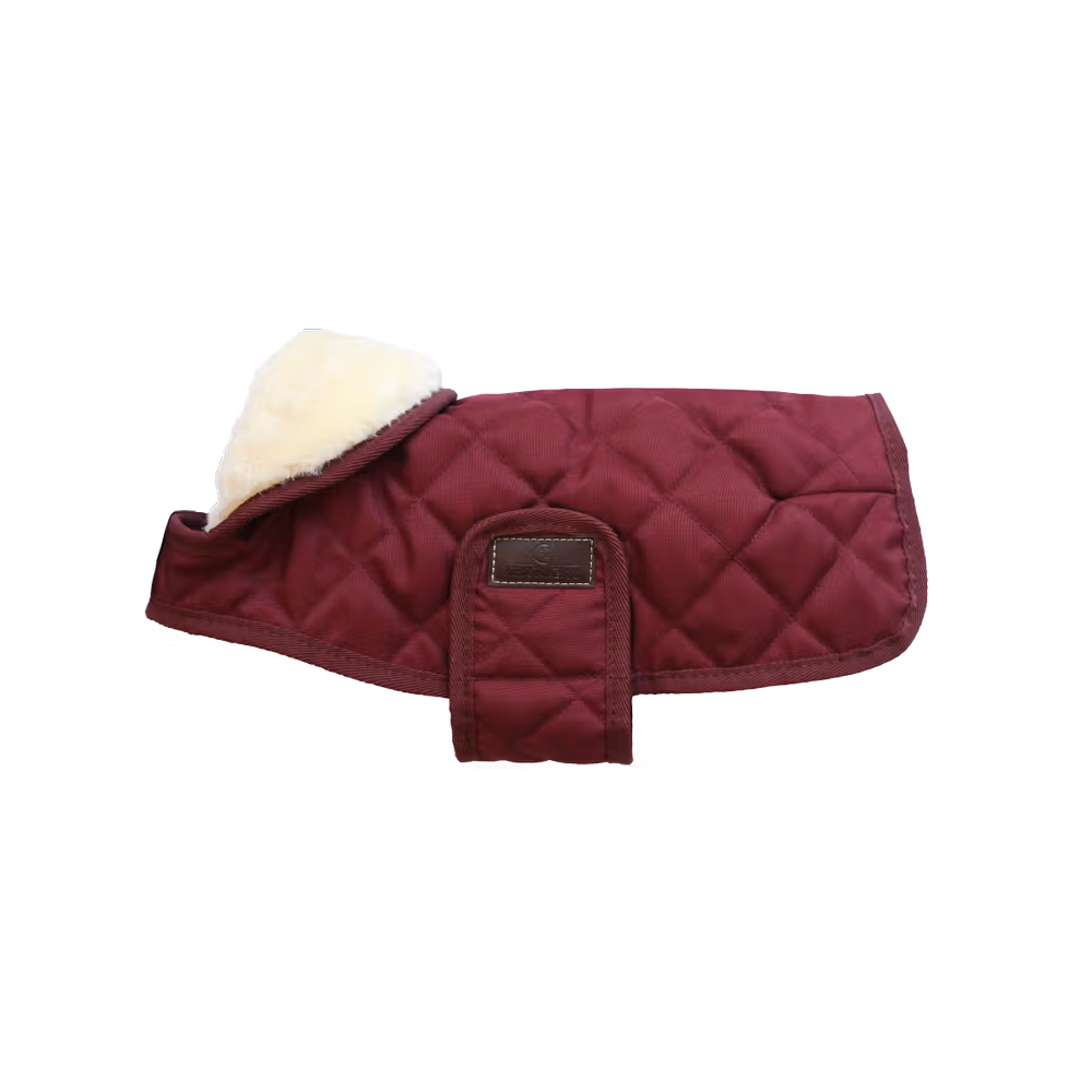 Bon Marché Manteau pour chien Original