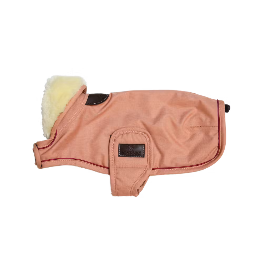 Prix Choc Manteau pour chien Imperméable 160g