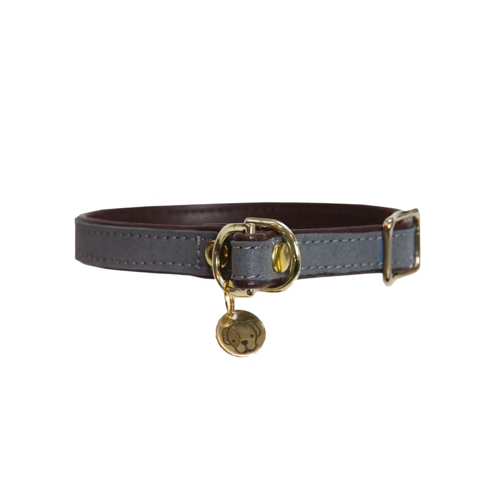 Collier pour chien Loop Commande En Gros