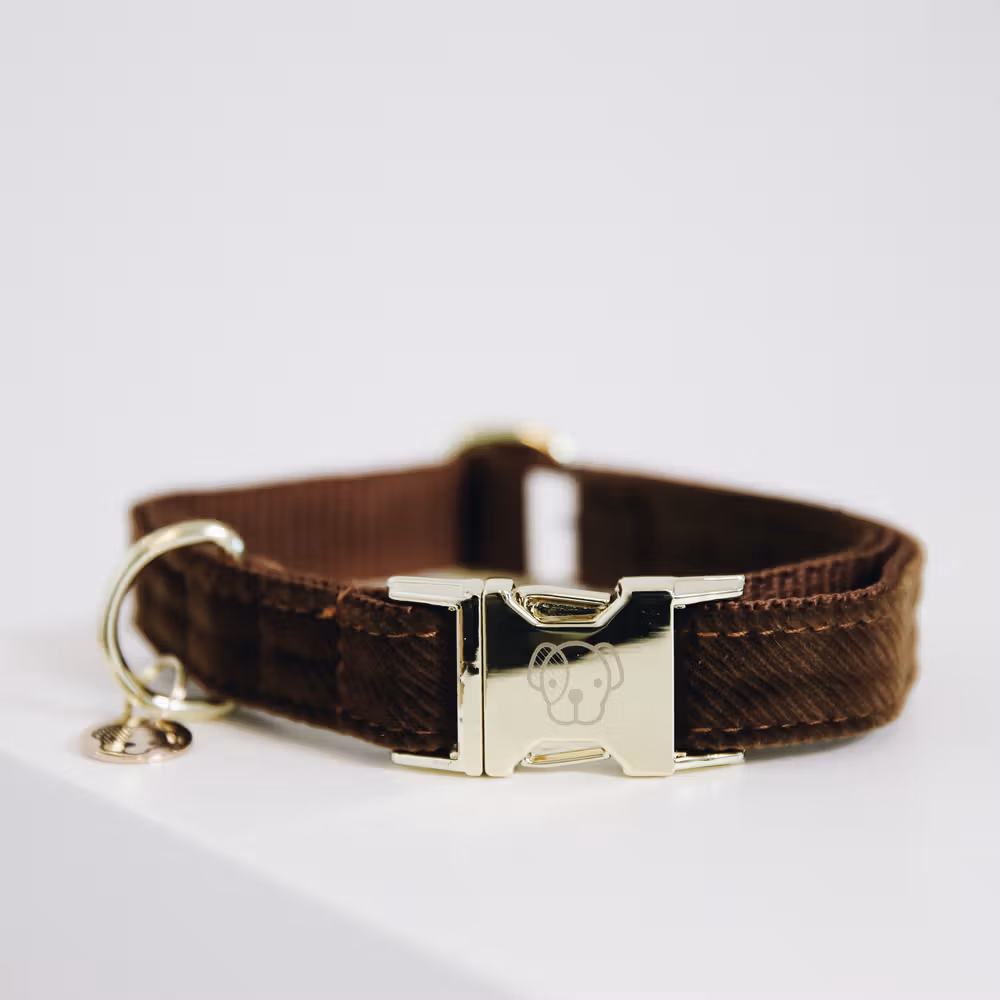 Livraison Express Collier pour chien Corduroy