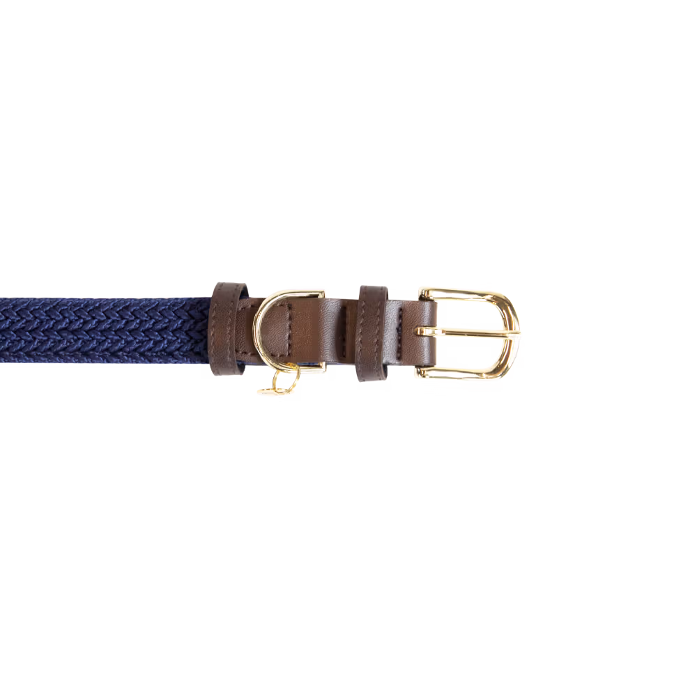 Pas Cher Collier pour chien Plaited Nylon