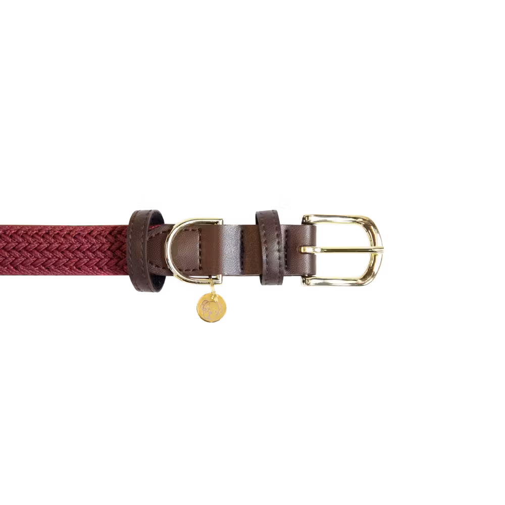 Collier pour chien Plaited Nylon Pas Cher