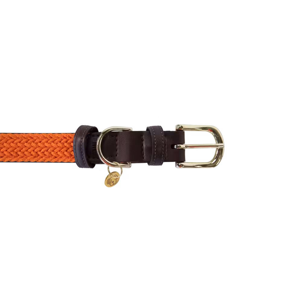 Prix Bas Collier pour chien Plaited Nylon
