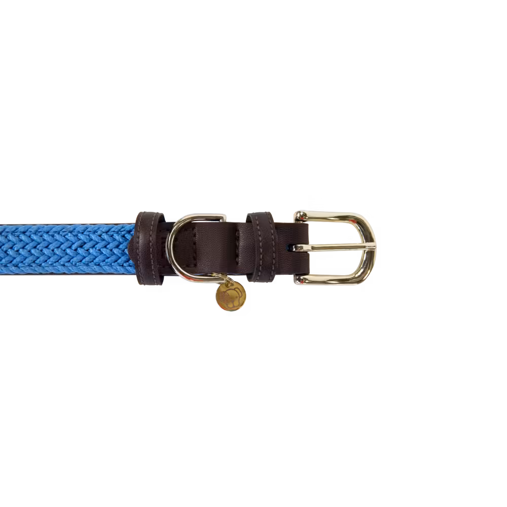 Collier pour chien Plaited Nylon Haute Qualité