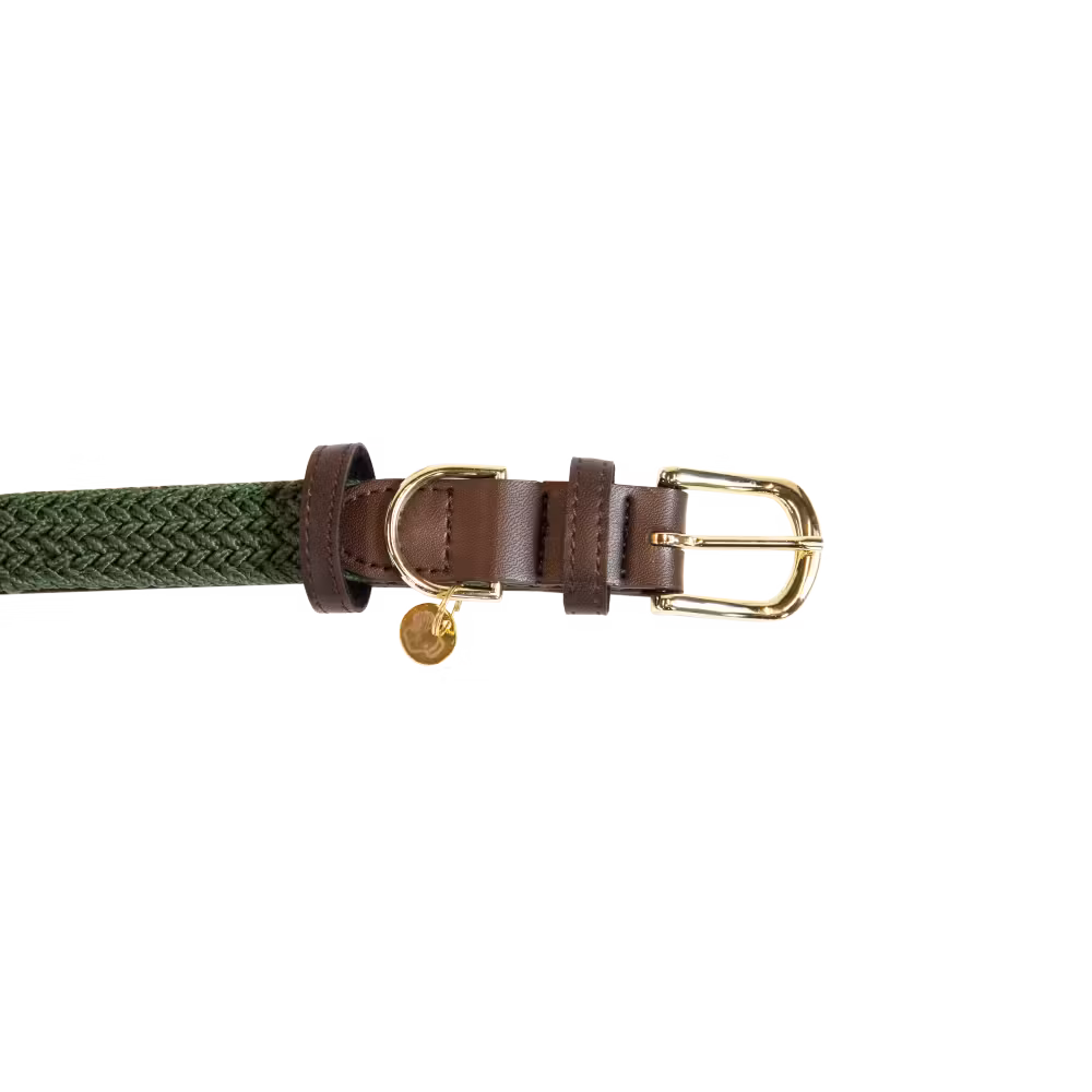 Prix Cassé Collier pour chien Plaited Nylon